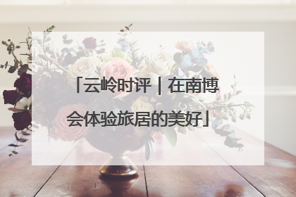 云岭时评｜在南博会体验旅居的美好