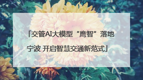 交管AI大模型“鹰智”落地宁波 开启智慧交通新范式