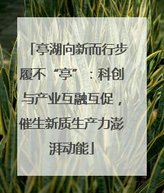 亭湖向新而行步履不“亭”：科创与产业互融互促，催生新质生产力澎湃动能