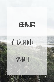 任振鹤在庆阳市调研