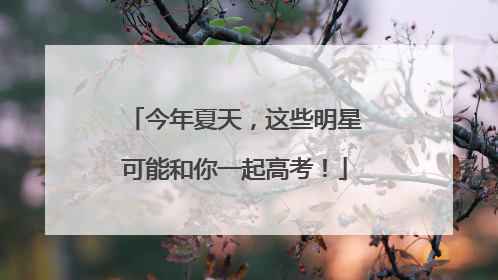今年夏天，这些明星可能和你一起高考！