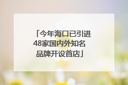 今年海口已引进48家国内外知名品牌开设首店
