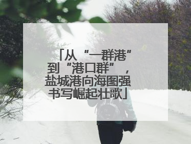 从“一群港”到“港口群”，盐城港向海图强书写崛起壮歌