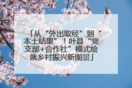 从“外出取经”到“本土结果”！叶县“党支部+合作社”模式绘就乡村振兴新图景