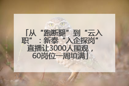 从“跑断腿”到“云入职”：新泰“入企探岗”直播让3000人围观，60岗位一周填满
