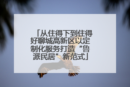 从住得下到住得好聊城高新区以定制化服务打造“鲁派民居”新范式