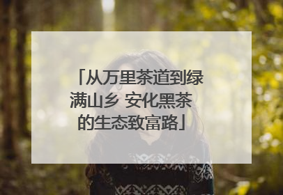从万里茶道到绿满山乡 安化黑茶的生态致富路
