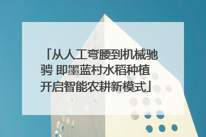 从人工弯腰到机械驰骋 即墨蓝村水稻种植开启智能农耕新模式
