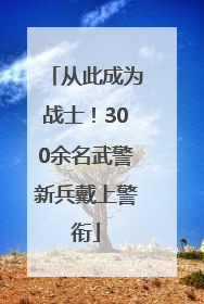 从此成为战士！300余名武警新兵戴上警衔