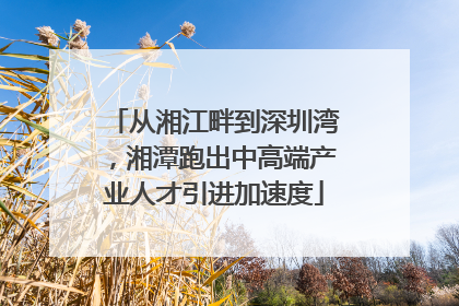 从湘江畔到深圳湾，湘潭跑出中高端产业人才引进加速度