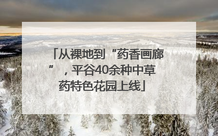 从裸地到“药香画廊”，平谷40余种中草药特色花园上线