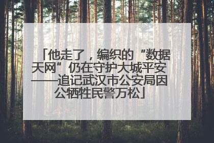 他走了，编织的“数据天网”仍在守护大城平安——追记武汉市公安局因公牺牲民警万松