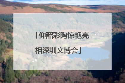 仰韶彩陶惊艳亮相深圳文博会