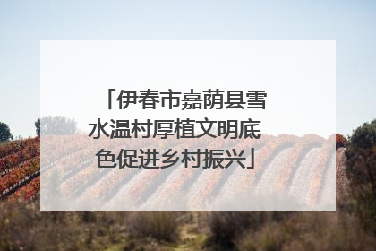 伊春市嘉荫县雪水温村厚植文明底色促进乡村振兴