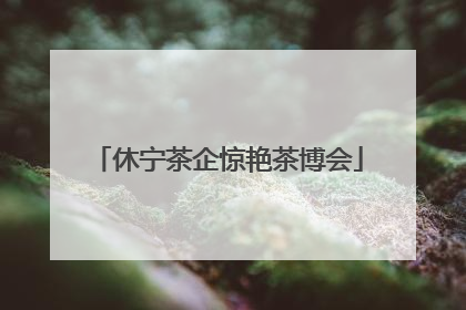 休宁茶企惊艳茶博会