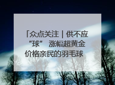 众点关注｜供不应“球” 涨幅超黄金 价格亲民的羽毛球为何身价飞涨？