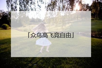 众鸟高飞竞自由