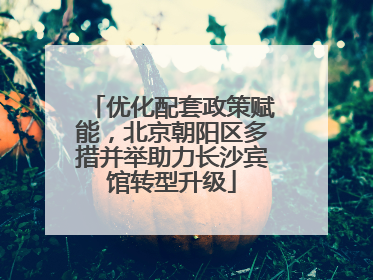 优化配套政策赋能，北京朝阳区多措并举助力长沙宾馆转型升级