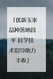 优新玉米品种落地昌平 科学技术指导助力丰收
