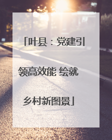 叶县：党建引领高效能 绘就乡村新图景