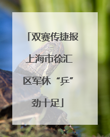 双赛传捷报 上海市徐汇区军休“乒”劲十足