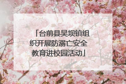台前县吴坝镇组织开展防溺亡安全教育进校园活动