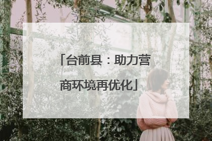 台前县：助力营商环境再优化