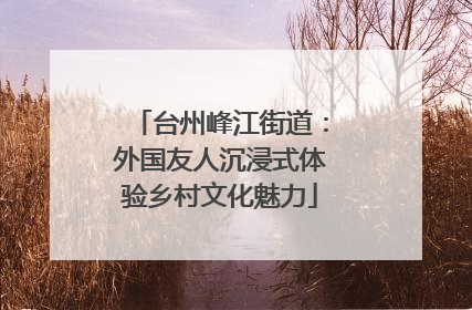 台州峰江街道：外国友人沉浸式体验乡村文化魅力