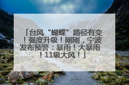 台风“蝴蝶”路径有变！强度升级！刚刚，宁波发布预警：暴雨！大暴雨！11级大风！