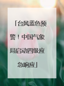 台风蓝色预警！中国气象局启动四级应急响应