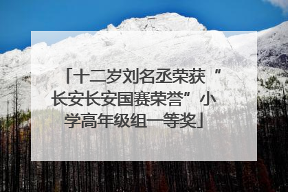 十二岁刘名丞荣获“长安长安国赛荣誉”小学高年级组一等奖