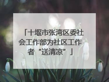 十堰市张湾区委社会工作部为社区工作者“送清凉”