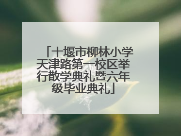 十堰市柳林小学天津路第一校区举行散学典礼暨六年级毕业典礼