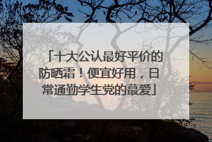 十大公认最好平价的防晒霜！便宜好用，日常通勤学生党的蕞爱