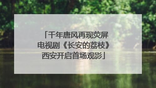 千年唐风再现荧屏 电视剧《长安的荔枝》西安开启首场观影