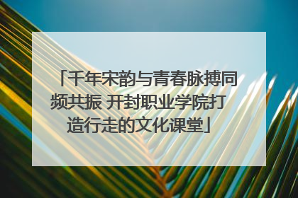 千年宋韵与青春脉搏同频共振 开封职业学院打造行走的文化课堂