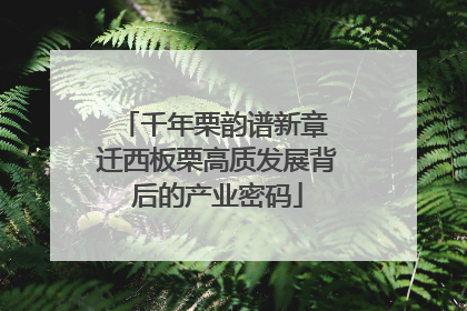 千年栗韵谱新章 迁西板栗高质发展背后的产业密码