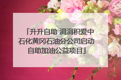 升升自助 涓涓积爱中石化黄冈石油分公司启动自助加油公益项目
