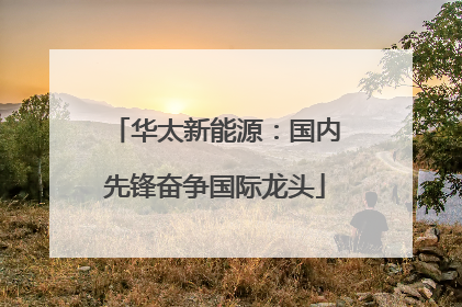 华太新能源：国内先锋奋争国际龙头