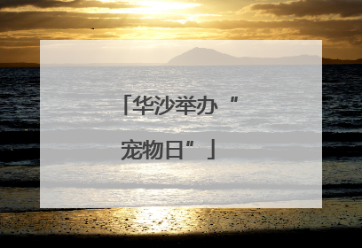 华沙举办“宠物日”