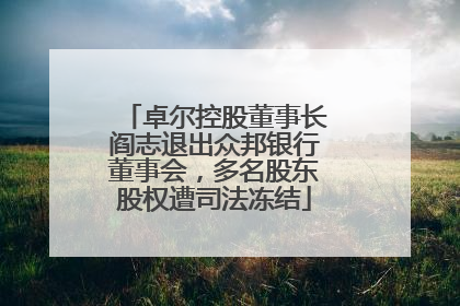 卓尔控股董事长阎志退出众邦银行董事会，多名股东股权遭司法冻结