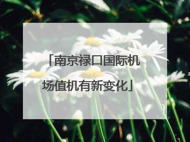 南京禄口国际机场值机有新变化