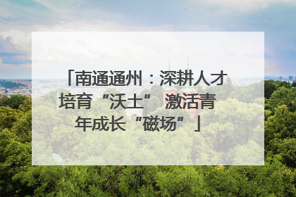 南通通州：深耕人才培育“沃土” 激活青年成长“磁场”