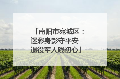 南阳市宛城区：迷彩身影守平安 退役军人践初心