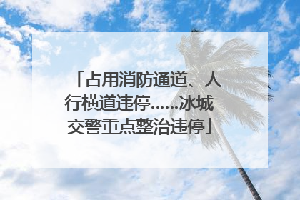 占用消防通道、人行横道违停……冰城交警重点整治违停