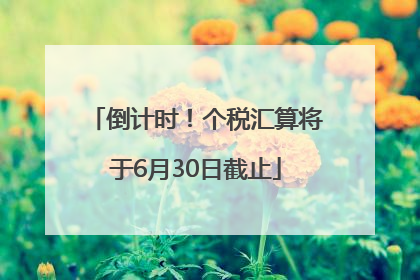 倒计时！个税汇算将于6月30日截止