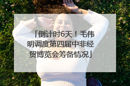 倒计时6天！毛伟明调度第四届中非经贸博览会筹备情况