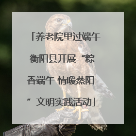 养老院里过端午 衡阳县开展“粽香端午 情暖蒸阳”文明实践活动