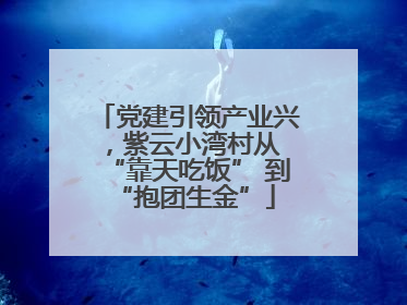 党建引领产业兴，紫云小湾村从 “靠天吃饭” 到 “抱团生金”