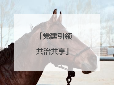 党建引领 共治共享
